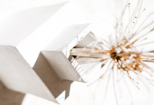 Interioristas en Alicante Valencia